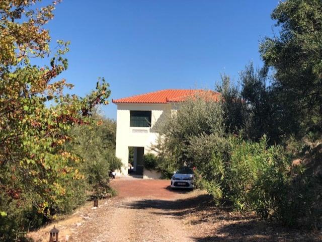 Kyparissia De Wandelboom Villa Vrises  Luaran gambar