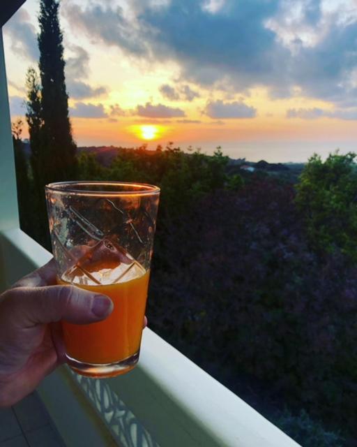 Kyparissia De Wandelboom Villa Vrises  Luaran gambar