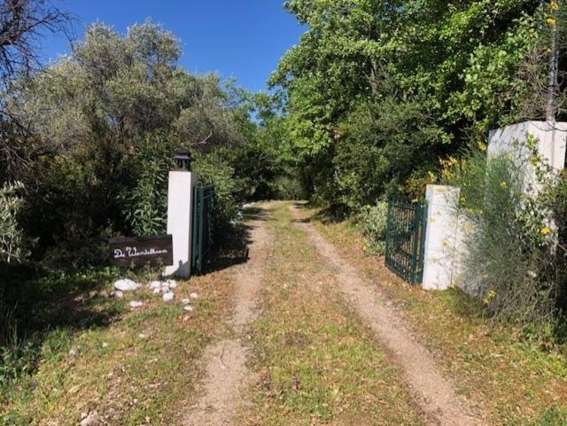 Kyparissia De Wandelboom Villa Vrises  Luaran gambar